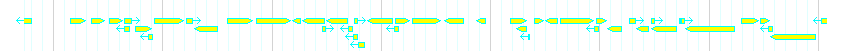 Genes detail