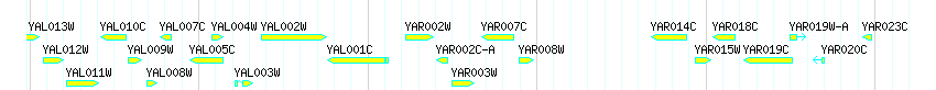 Genes detail