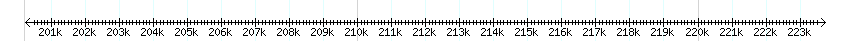 __scale__ detail