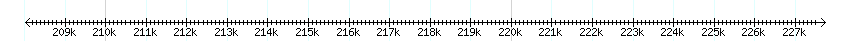 __scale__ detail