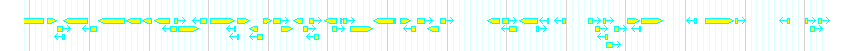 Genes detail