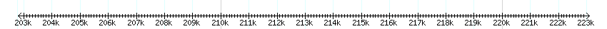 __scale__ detail