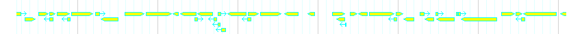 Genes detail