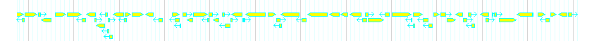 Genes detail
