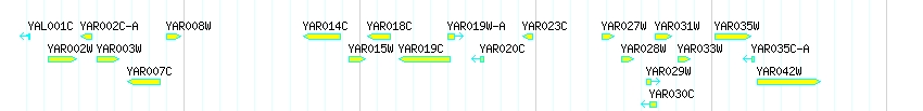 Genes detail