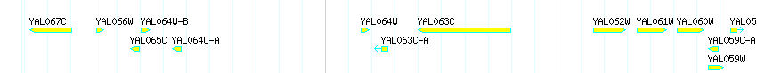 Genes detail