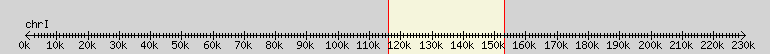 __scale__ overview