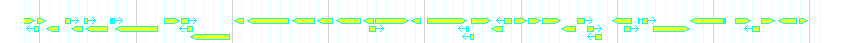 Genes detail