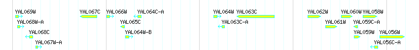 Genes detail