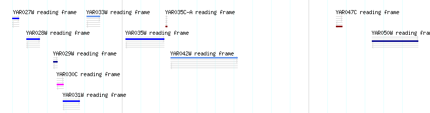 CDS detail