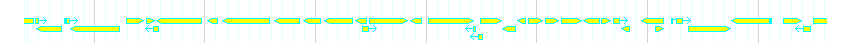Genes detail