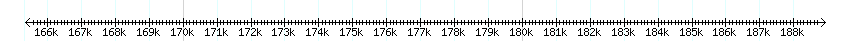 __scale__ detail