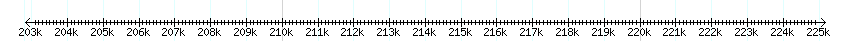 __scale__ detail