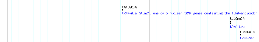 tRNAs detail