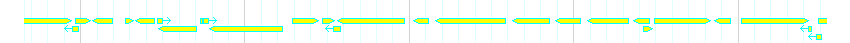 Genes detail