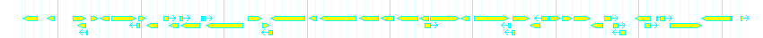 Genes detail