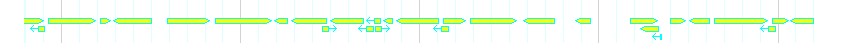 Genes detail
