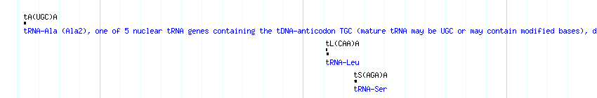 tRNAs detail