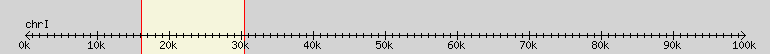 __scale__ region