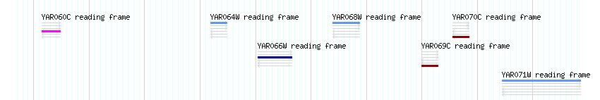 CDS detail