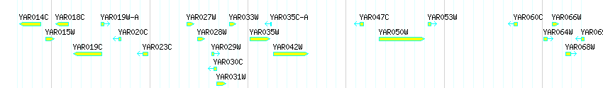 Genes detail