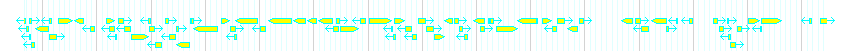 Genes detail
