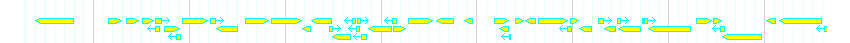 Genes detail