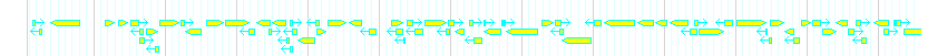 Genes detail