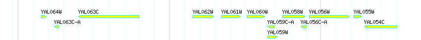 Genes detail