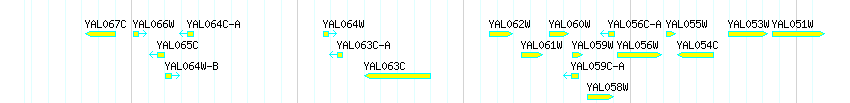 Genes detail