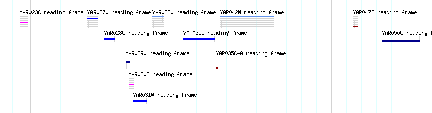 CDS detail