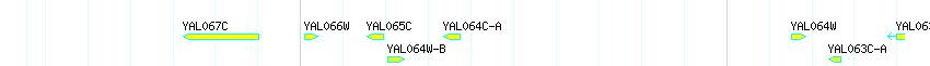 Genes detail