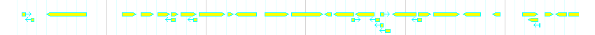 Genes detail