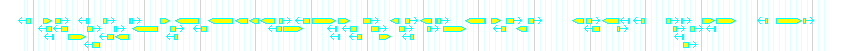 Genes detail