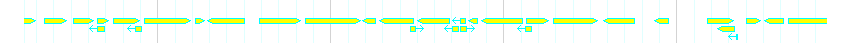 Genes detail