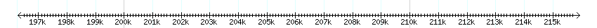 __scale__ detail