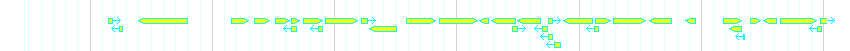 Genes detail