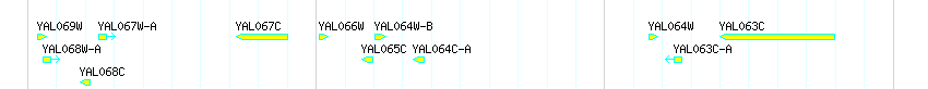 Genes detail