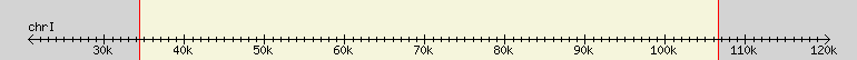 __scale__ region