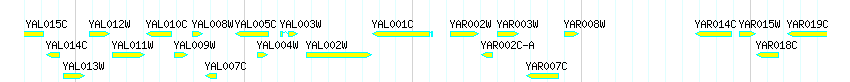 Genes detail