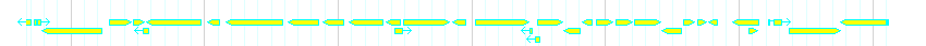 Genes detail