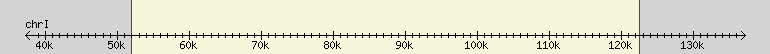 __scale__ region