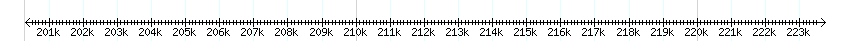 __scale__ detail