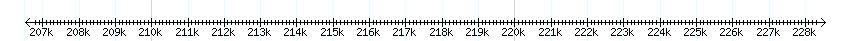 __scale__ detail