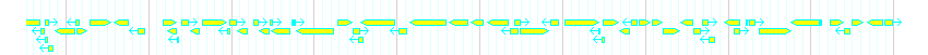 Genes detail