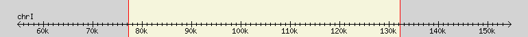 __scale__ region