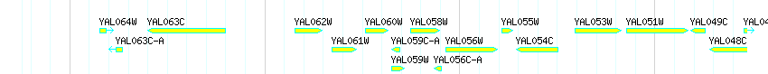 Genes detail