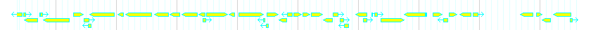 Genes detail
