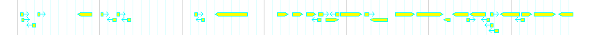 Genes detail
