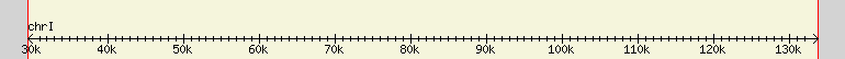 __scale__ region